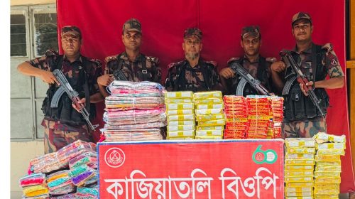 বিজিবির অভিযানে ৫১ লাখ টাকার ভারতীয় পণ্য জব্দ