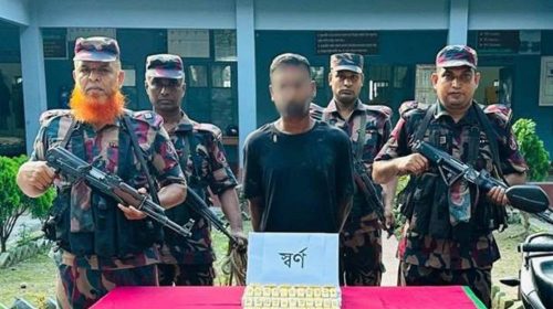 দর্শনা সীমান্তে প্রায় ৭ কেজি সোনা জব্দ, ১৩ কোটি টাকার চালানসহ আটক ১
